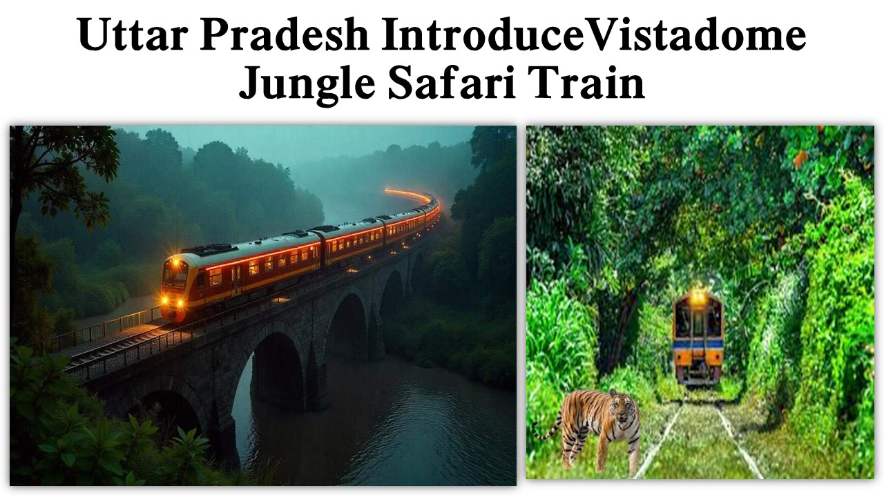 Uttar Pradesh Introduces Vistadome Jungle Safari Train