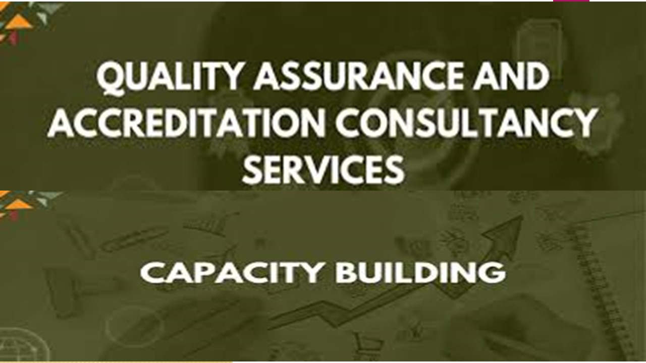 Quality Assurance and Accreditation Process in Higher Education